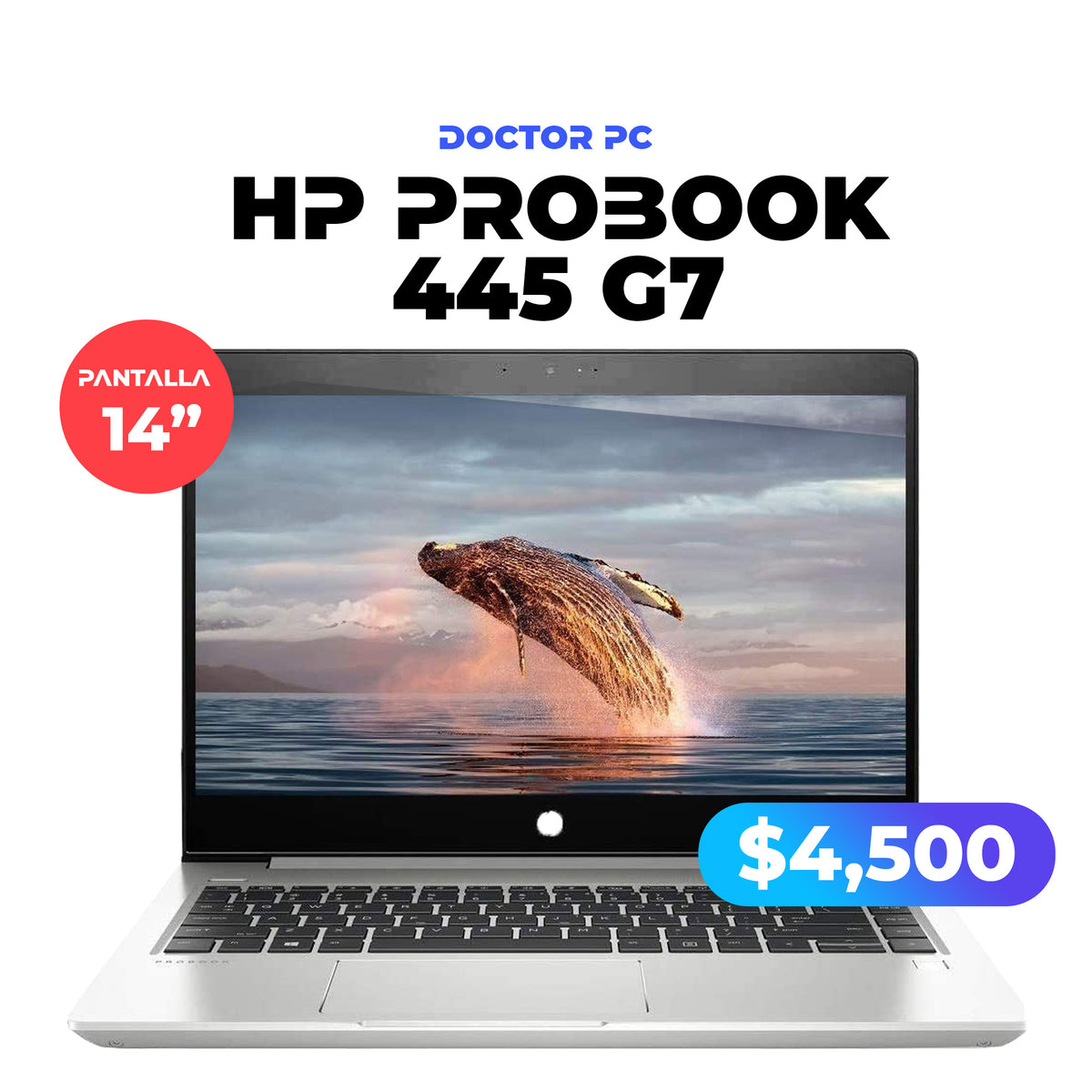 HP PROBOOK 445 G7